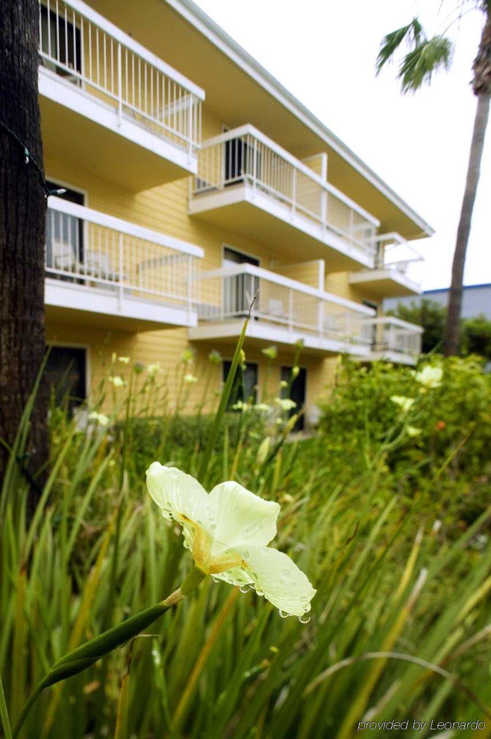 Four Points By Sheraton San Diego - Sea World Номер фото